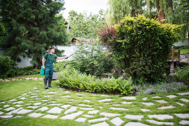 Best Lawn Disease Treatment  in Roselle Park, NJ