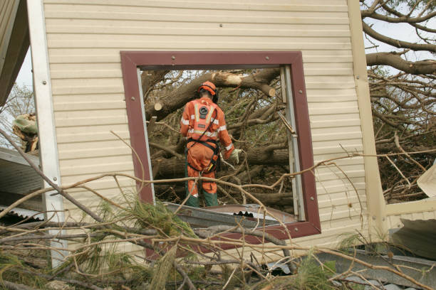  Roselle Park, NJ Tree Services Pros