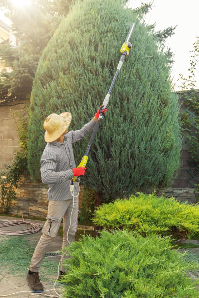 Best Utility Line Clearance  in Roselle Park, NJ